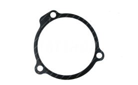Fuel pump gasket
