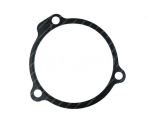 Fuel pump gasket