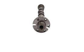 Camshaft 50007016 (1)
