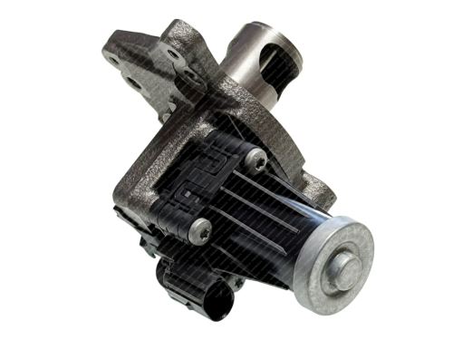 EGR valve