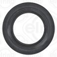 Seal Ring 191.320