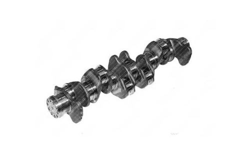 Crankshaft 51021010673