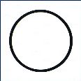 O ring 17284181