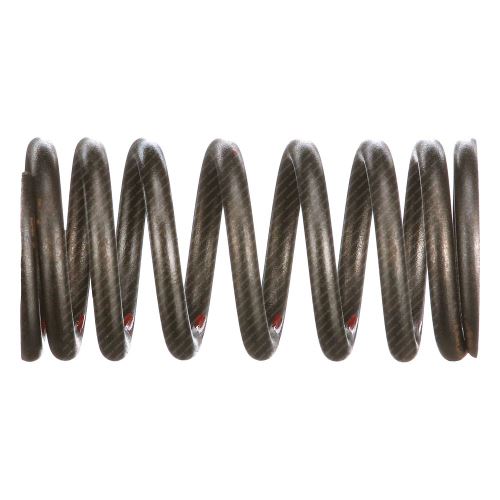 Valve spring 504099998