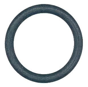 Dichtungsring 249.220