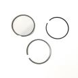 Piston Ring Kit 800116910000 Piston Ring Kit 800116910000