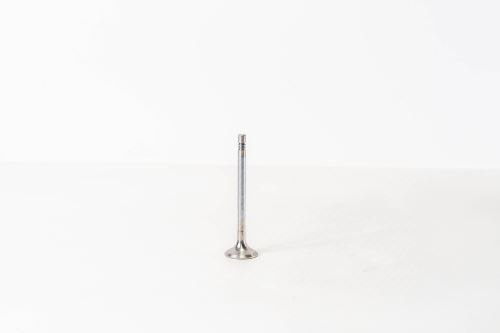 Valve exhaust A6600530005