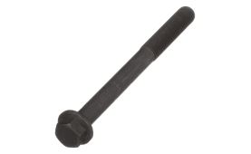 Zylinderkopfschraube 500354580 (1)