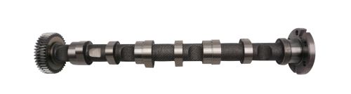 Camshaft 50007004
