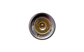 Termostat Ø 54.00 mm 504038890, 2830734, 2852159 (3)