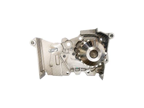 Water Pump 50005170