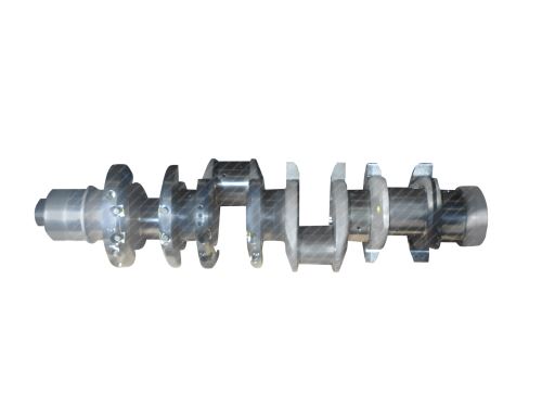 Crankshaft 504022670