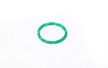 O ring 17282281