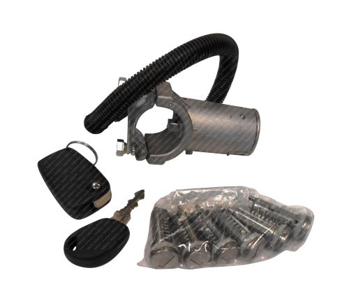 Steering Lock 2996076