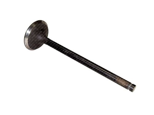 Valve exhaust 8830045