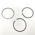 Piston Ring Kit 800045010000