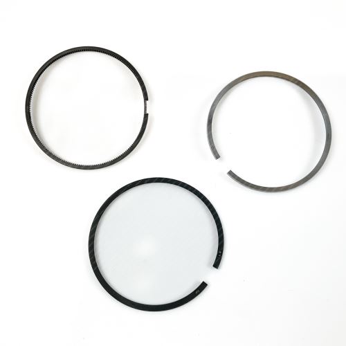 Piston Ring Kit 800076010050