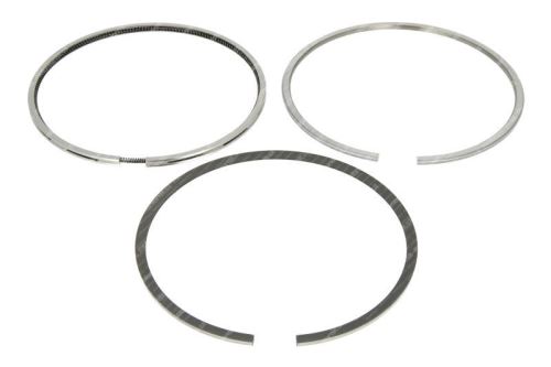 Piston Ring Kit 500055470