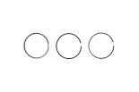Piston Ring Kit 607RS001160N0 Piston Ring Kit 607RS001160N0