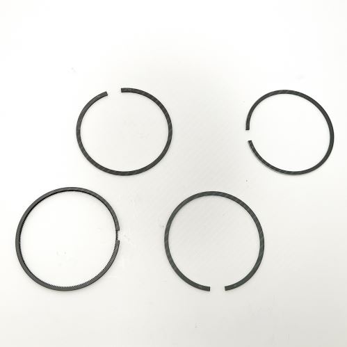 Piston rings 1901481