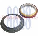 Shaft seal, crankshaft