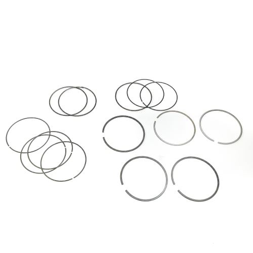 Piston Ring Kit 4701331