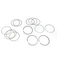 Piston Ring Kit 4701331