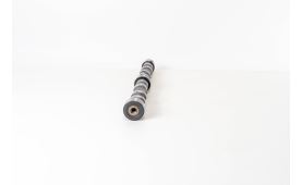Nockenwelle, Auspuff 504096183 (2)