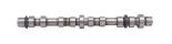 Camshaft 55565850 Camshaft 55565850