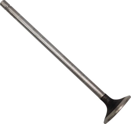 Einlassventil 504127798