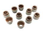 Dichtring, Ventilschaft 562.298