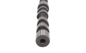 Nockenwelle, Auspuff 504080985 (2)