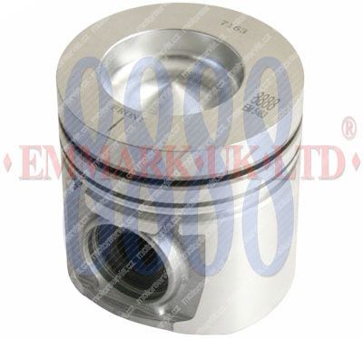 Piston assy EM5483 STD
