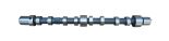 Camshaft, intake 504096185 Camshaft, intake 504096185