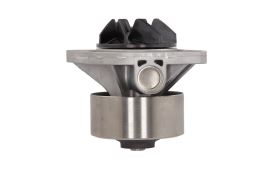 Water pump (2)