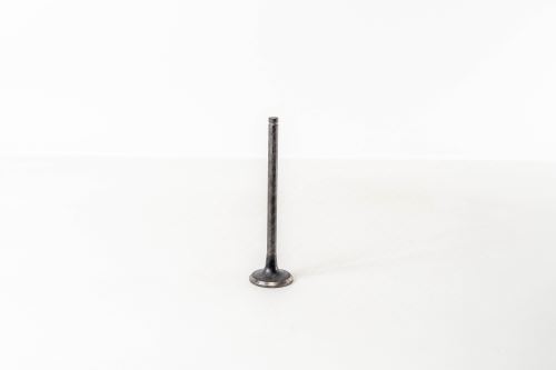Valve exhaust 821170