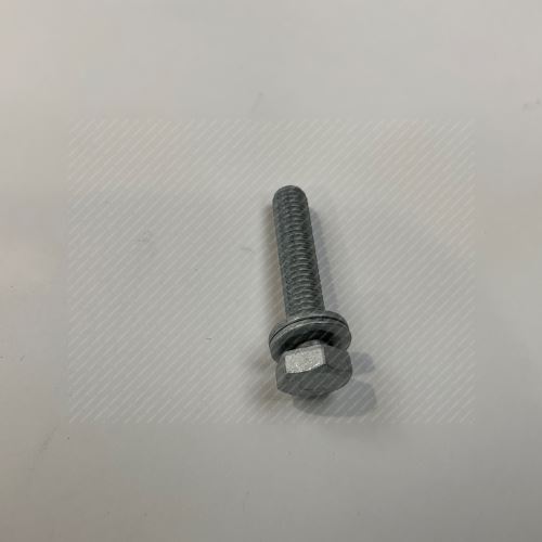 Screw 504062448