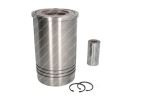 KIT PISTON/CYLIN. 500054524