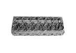 Zylinderkopf mit Ventilen 500370212 Zylinderkopf mit Ventilen 500370212