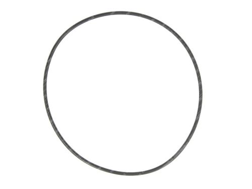O ring 17292781