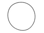 O ring 17292781