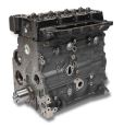 Rumpfmotor mit Zylinderkopf 9204000 Rumpfmotor mit Zylinderkopf 9204000