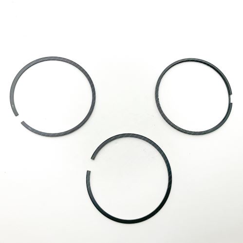 Piston Ring Kit 1902376