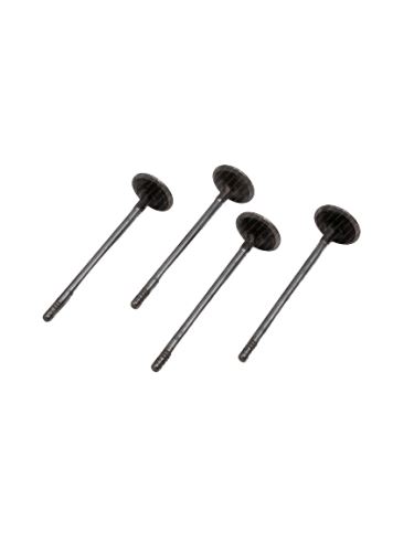 Valve exhaust