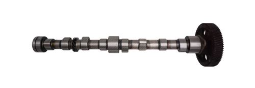 Nockenwelle 4818552