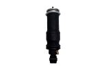 Shock Absorber of cab suspension 1505563