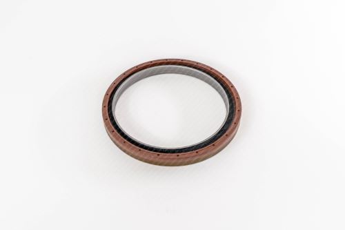 Seal Ring 500086402