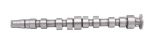 Camshaft 036109101AA Camshaft 036109101AA