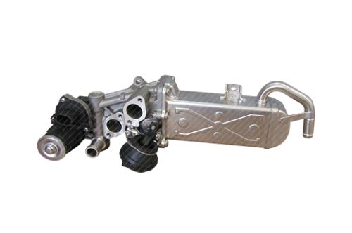 EGR module