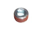 Threaded plug M26 to cylinder head IVECO EuroCargo TECTOR 4895079
